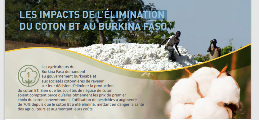 LES IMPACTS DE L’ÉLIMINATION DU COTON BT AU BURKINA FASO